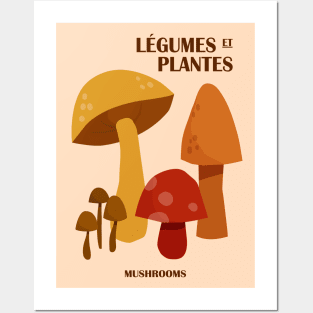 Mushrooms, Autumn art, Cottagecore decor, Posters aesthetic, Museum poster, Retro art print, Food market Posters and Art